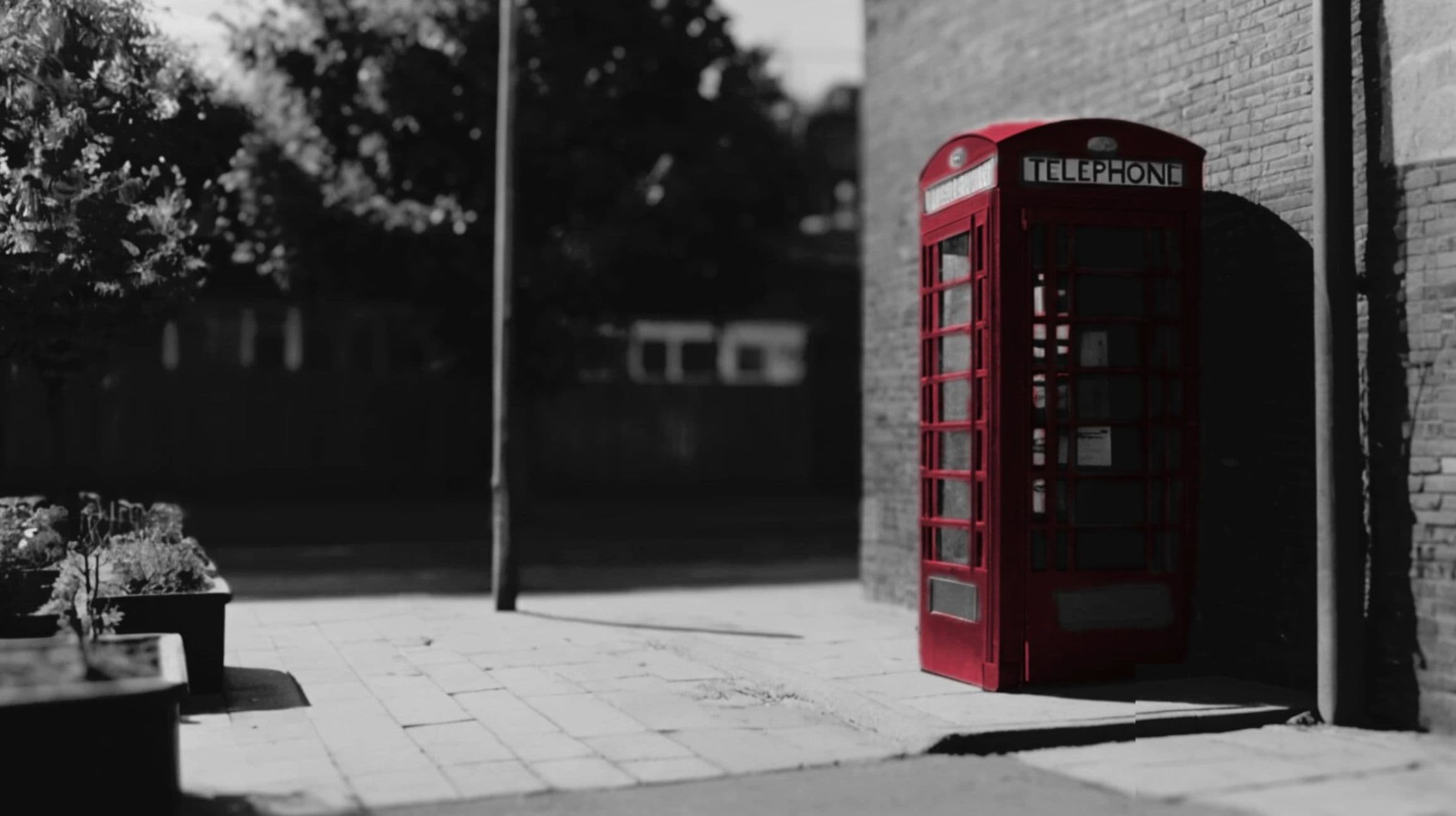 AI Voice Bot Interface